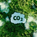 Sostenibilità e impronta di carbonio: le sfide ambientali attuali